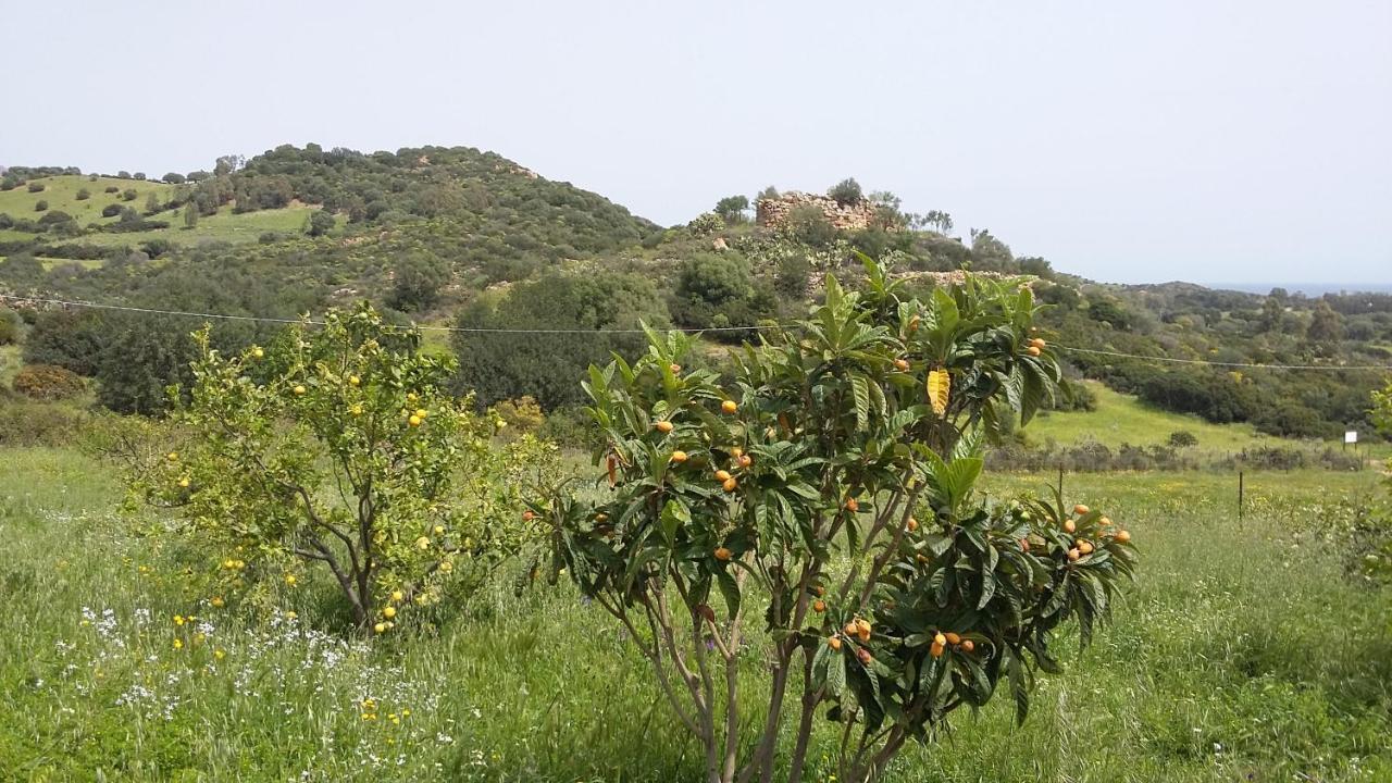 La Casetta Rosa Tertenìa المظهر الخارجي الصورة