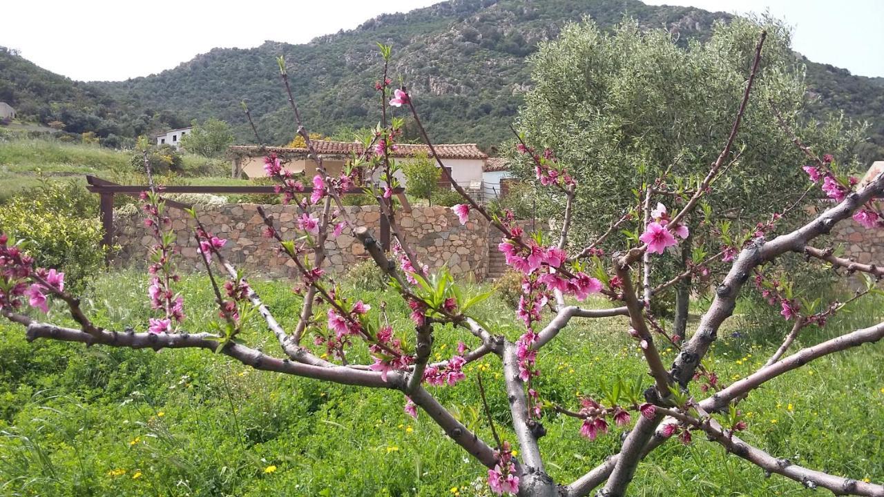 La Casetta Rosa Tertenìa المظهر الخارجي الصورة