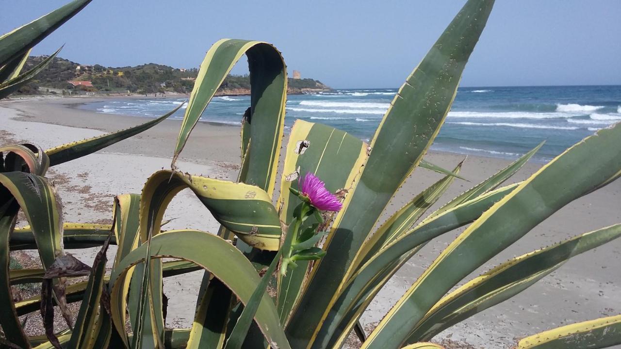 La Casetta Rosa Tertenìa المظهر الخارجي الصورة