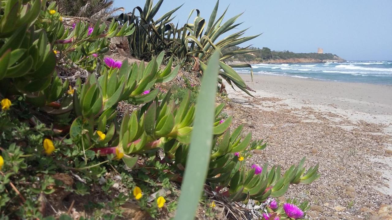 La Casetta Rosa Tertenìa المظهر الخارجي الصورة